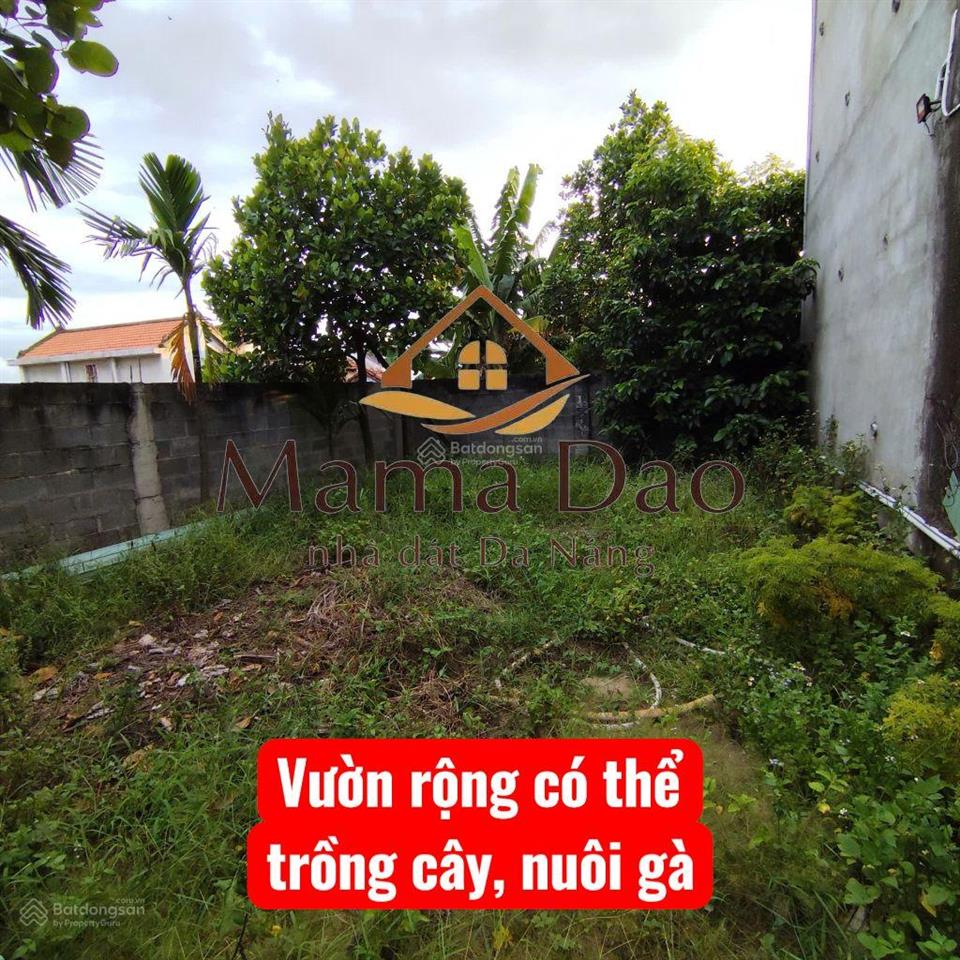 Siêu phẩm nhà phố + nhà yến dòng tiền ổn định trần thủ độ, hội an  ngang khủng 10m