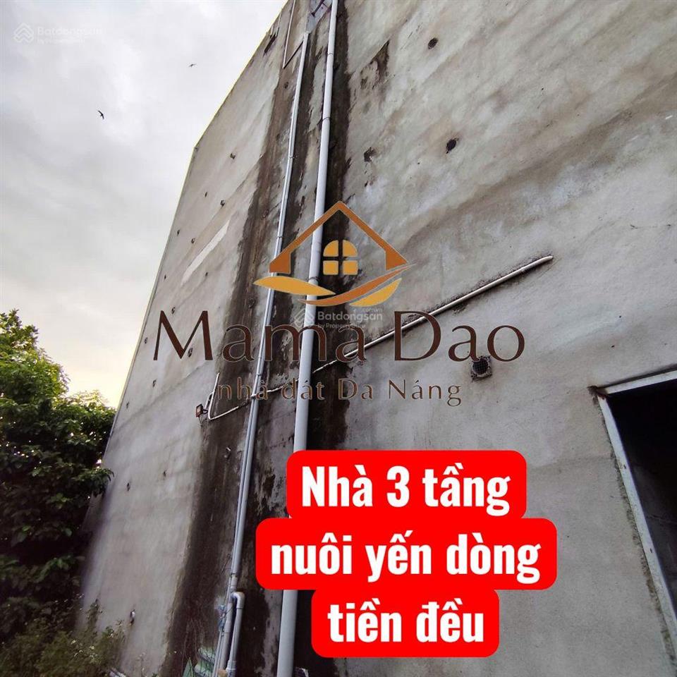 Siêu phẩm nhà phố + nhà yến dòng tiền ổn định trần thủ độ, hội an  ngang khủng 10m
