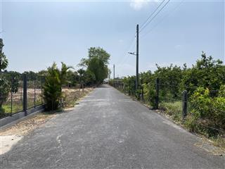 Chính chủ bán một sào đất quy hoạch đất ở có thể lên được thổ cư cách biển hồ tràm 9km, đường nhựa