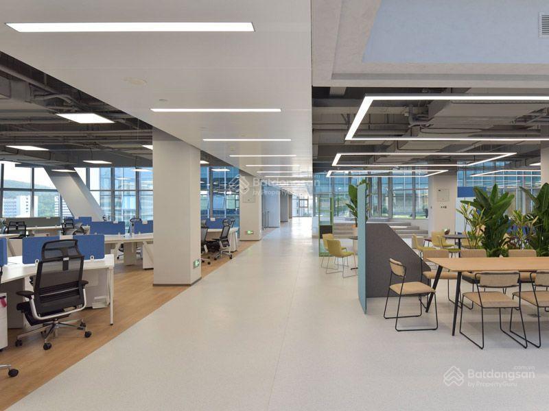 Cho thuê nhà mặt phố nguyễn tuân. dt 350m2. mt 15m