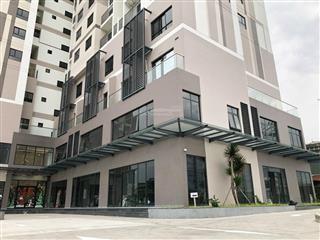 Bán shophouse tại the pegasuite 2, 5,5 tỷ, 124m2, mặt tiền 7m, giá tốt!