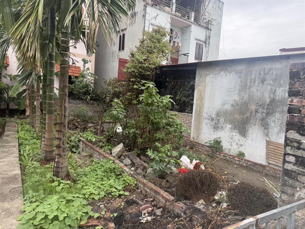 Bán đất 54,5m2 đất lộc hà, đông anh đường thông ô tô vào đất giá đầu tư