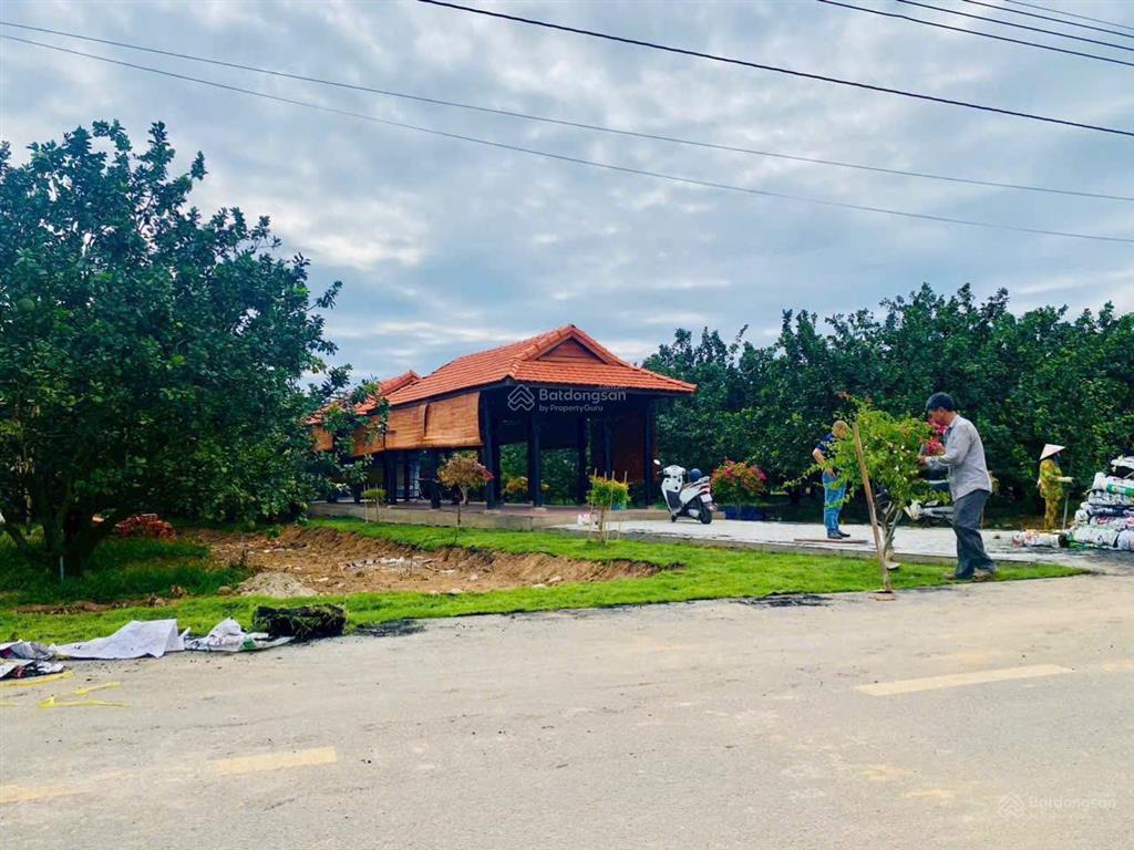 Bán đất bàu bàng đối diện trường học trừ văn thố  254m2 có thổ cư  giá chỉ 950 triệu