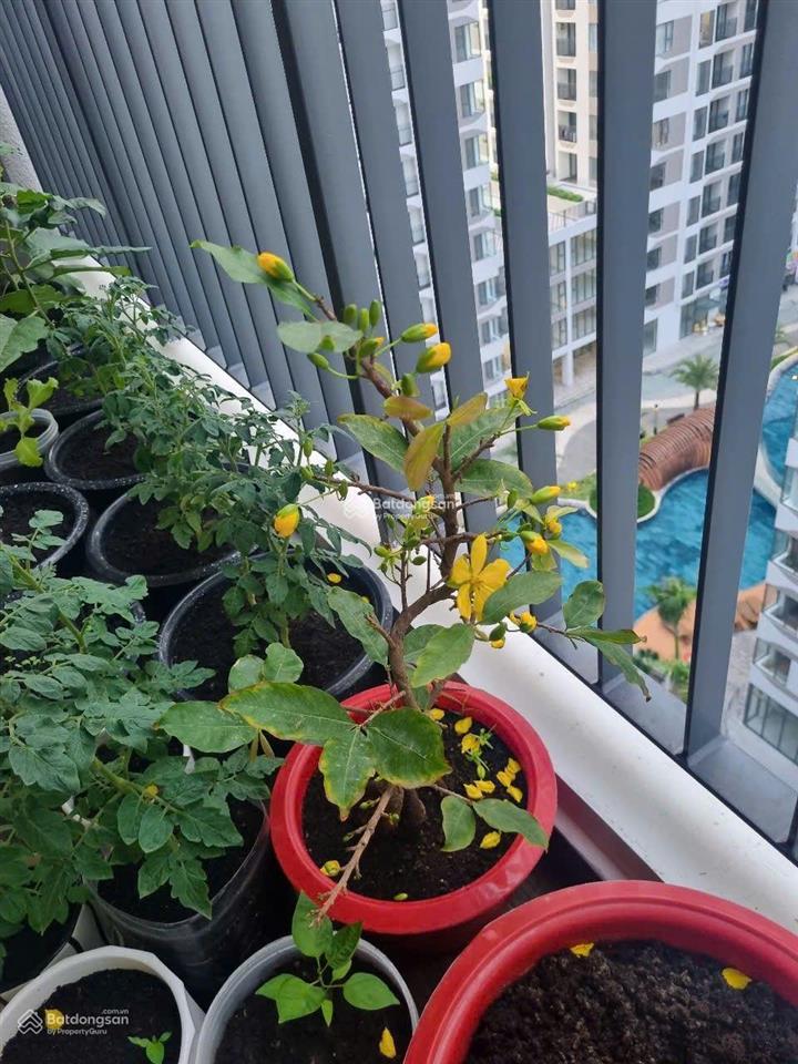 Cho thuê nhanh căn 2pn2wc mt eastmark city giá siêu tốt. 0937 981 ***