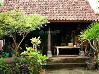 Bán đất trung tâm hội an vị trí vàng cho nhà đầu tư