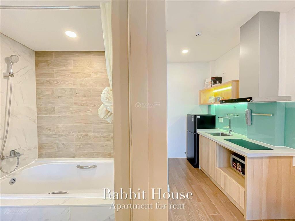 Cho thuê căn hộ 1pn ban công full nội thất bến vân đồn quận 4 gần cầu nguyễn văn cừ, cầu ông lãnh