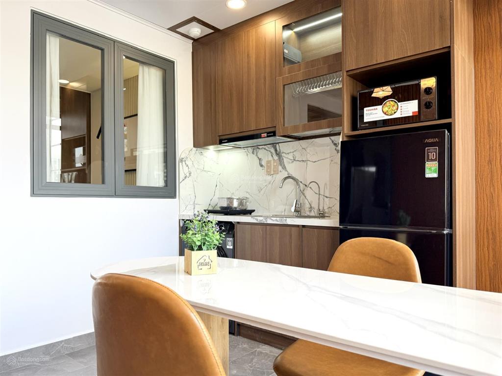 Căn hộ 1pn penthouse sân vườn điện biên phủ quận 1 ngay công viên lê văn tám, nhà thờ tân định
