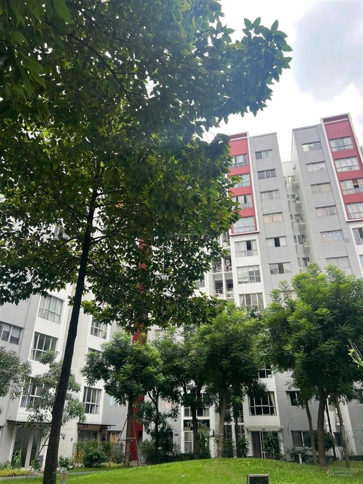 Ruby celadon "vua" giá trị thực 3pn chỉ 4.6 tỷ!