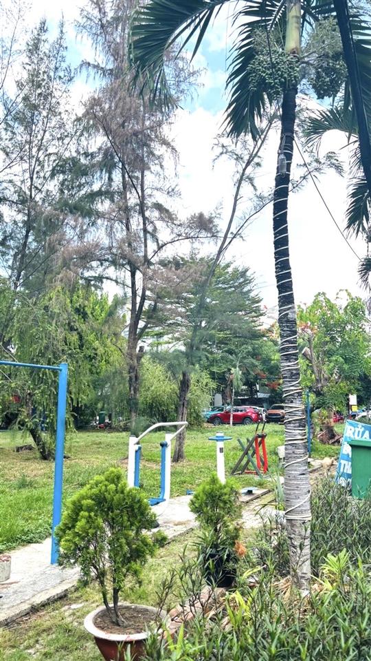Bán đất tại đường số 2, an lạc, hồ chí minh, 7,7 tỷ, 80m2, mặt tiền 4m, ngõ 12m đẹp