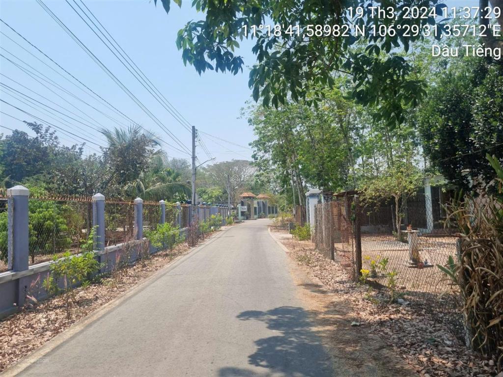 Ngân hàng thanh lý đất ngang 24m mt nhựa, dt 1079m2, chỉ 3ty42, dầu tiếng bình dương