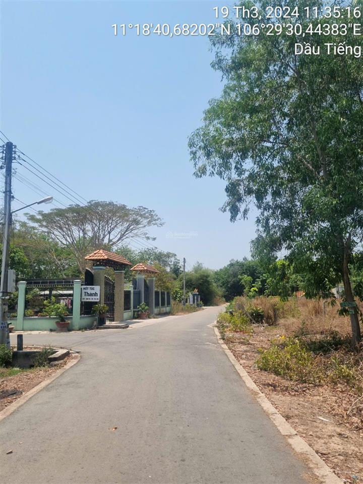 Ngân hàng thanh lý đất ngang 24m mt nhựa, dt 1079m2, chỉ 3ty42, dầu tiếng bình dương