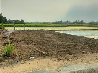 Chính chủ gửi bán nhanh lô đất 222m2 full thổ shr gần chợ đào ,cầu gạch đào chốt giá 650tr