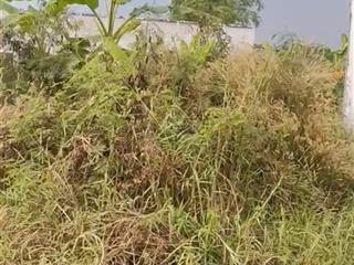 Chính chủ ngộp gửi bán đất cần giuộc 130m2 full thổ shr pháp lí sạch cách đường cđlt 100m giá 700tr