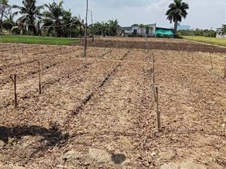 Đất tân đông gò công chính chủ gửi bán dt 2845m2 đất cln shr gần tp gò công chốt giá 1,5tỷ