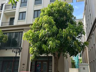 Xẻ khe 98m2, trục thông vin3, sổ đỏ