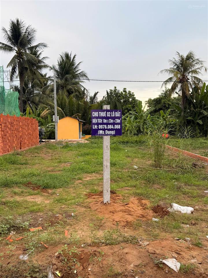 Cho thuê đất lô góc đường d7, phường trung an, đồng tháp