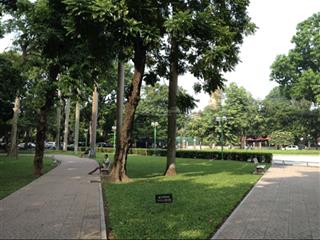 Bán cc mini 20m2 giá chỉ 1,75 tỷ ở phạm ngọc thạch, p kim liên, q.đống đa