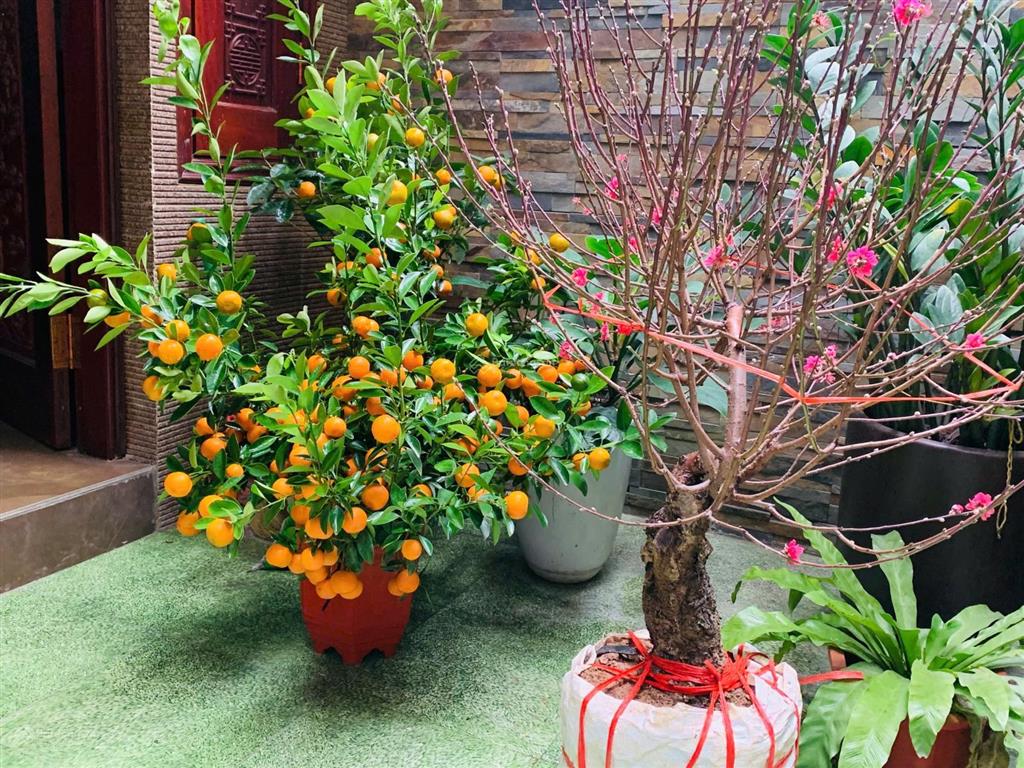Cbnn bán nhà sổ đỏ chính chủ trung tâm nguyễn lương bằng  full đồ đạc & nội thất gỗ cao cấp