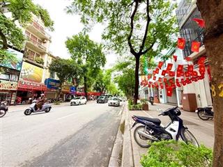 Bán nhà phố nguyễn đình chiểu, hai bà trưng 50m2, 4 tầng, giá 22.5 tỷ. ô tô kinh doanh.