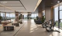 Bán căn hộ 2pn 71.6m2 view nhạc nước, tttm lumière midtown giá chỉ 9,26 tỷ, ck lên đến 16%