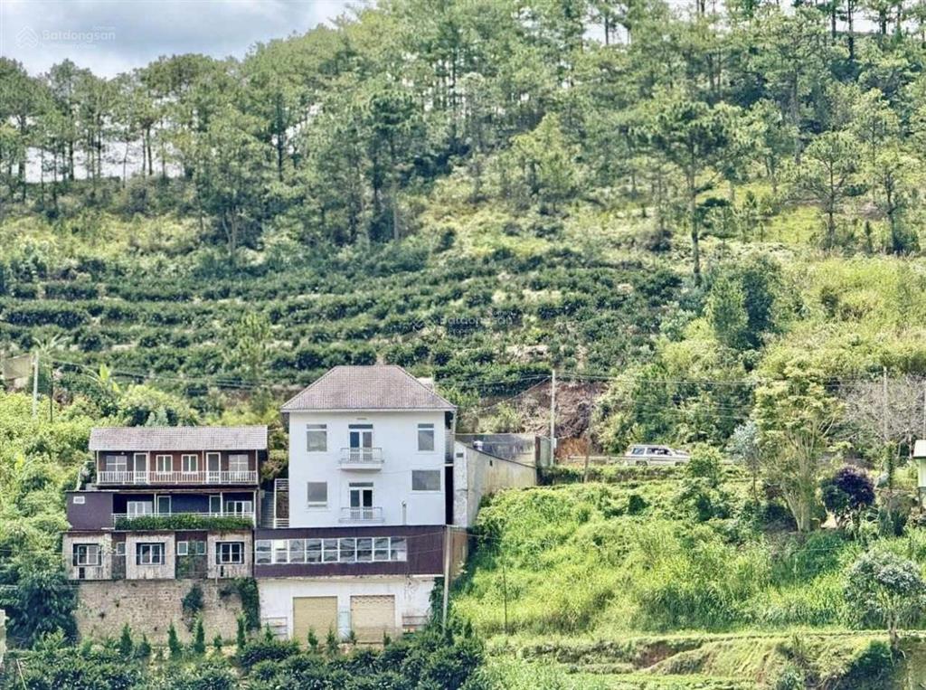 549m2 đất mặt tiền đa phú đà lạt 11,5 tỷ