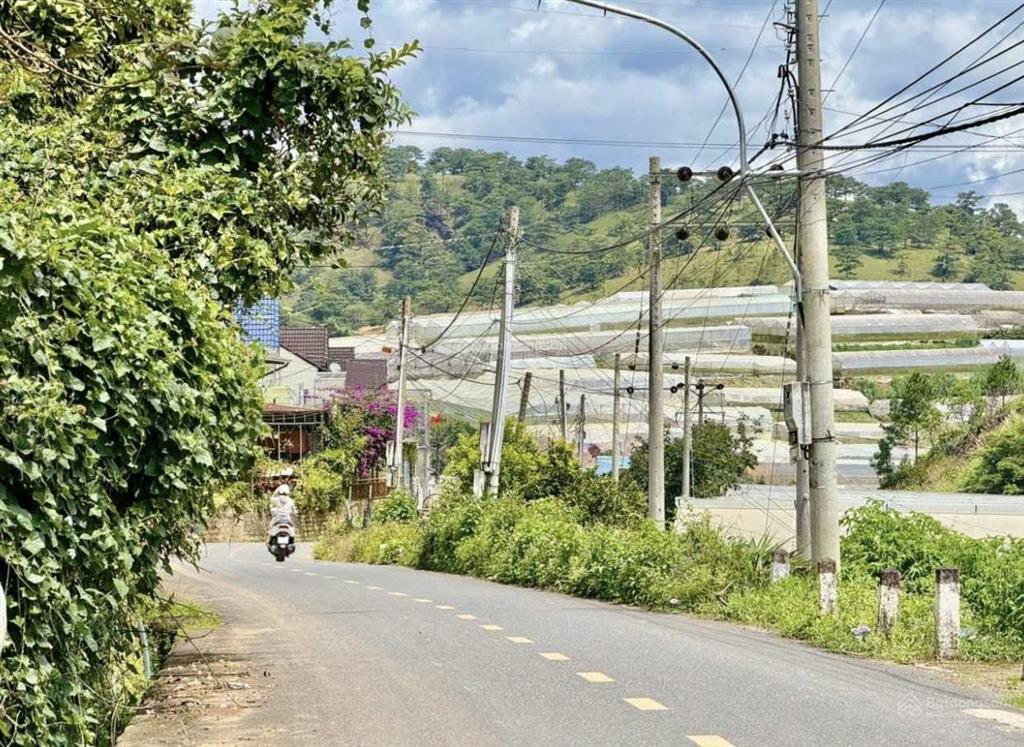 549m2 đất mặt tiền đa phú đà lạt 11,5 tỷ