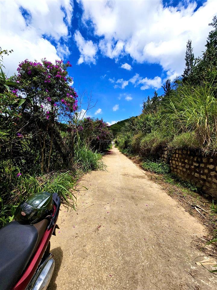 505m2 đất view đẹp khe sanh 3 tỷ 950 triệu
