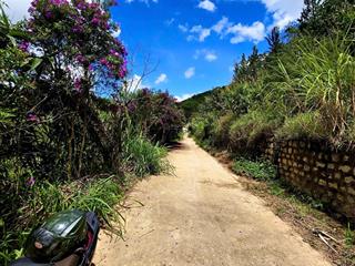 505m2 đất view đẹp khe sanh 3 tỷ 950 triệu