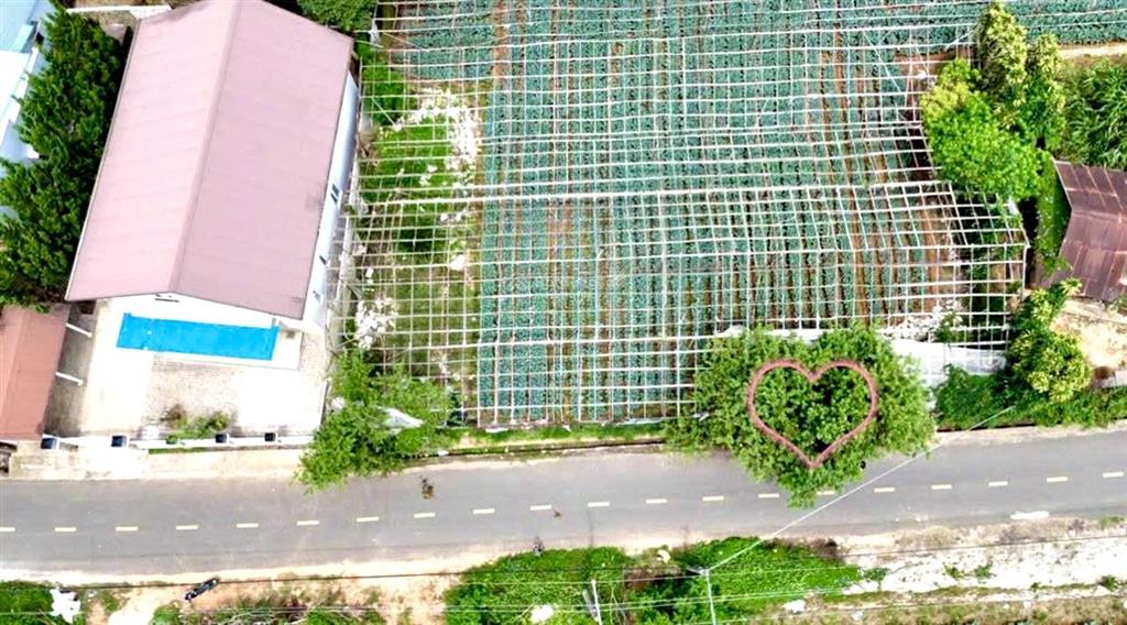 2748m2 đất biệt thự mặt tiền đa phú 25,5 tỷ