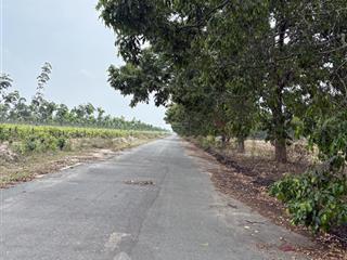 Bán đất khu b, đường số 2 giá tốt