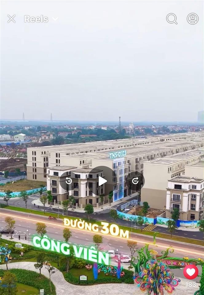 Tn501 & tn503 liền kề nhau, chất sống riêng biệt, định vị chuẩn thượng lưu