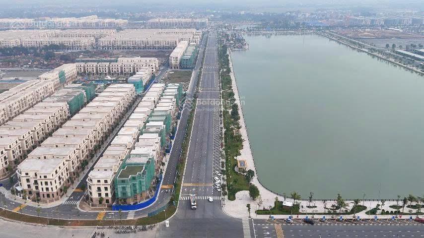 Tn501 & tn503 liền kề nhau, chất sống riêng biệt, định vị chuẩn thượng lưu