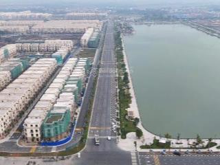 Tn501 & tn503 liền kề nhau, chất sống riêng biệt, định vị chuẩn thượng lưu