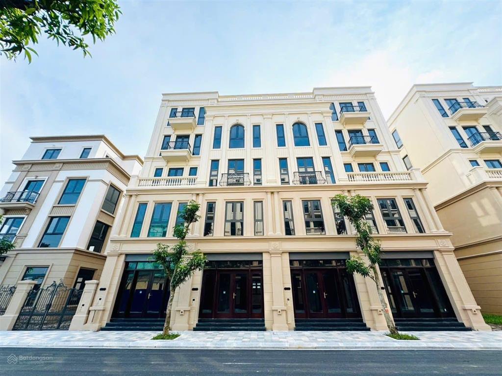 Tn501 & tn503 liền kề nhau, chất sống riêng biệt, định vị chuẩn thượng lưu
