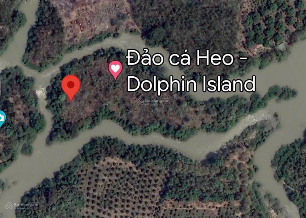 Hàng hiếm, đất tiềm năng cho đầu tư du lịch sinh thái, "hái" ra tiền, gà đẻ trứng vàng!