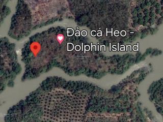 Hàng hiếm, đất tiềm năng cho đầu tư du lịch sinh thái, "hái" ra tiền, gà đẻ trứng vàng!