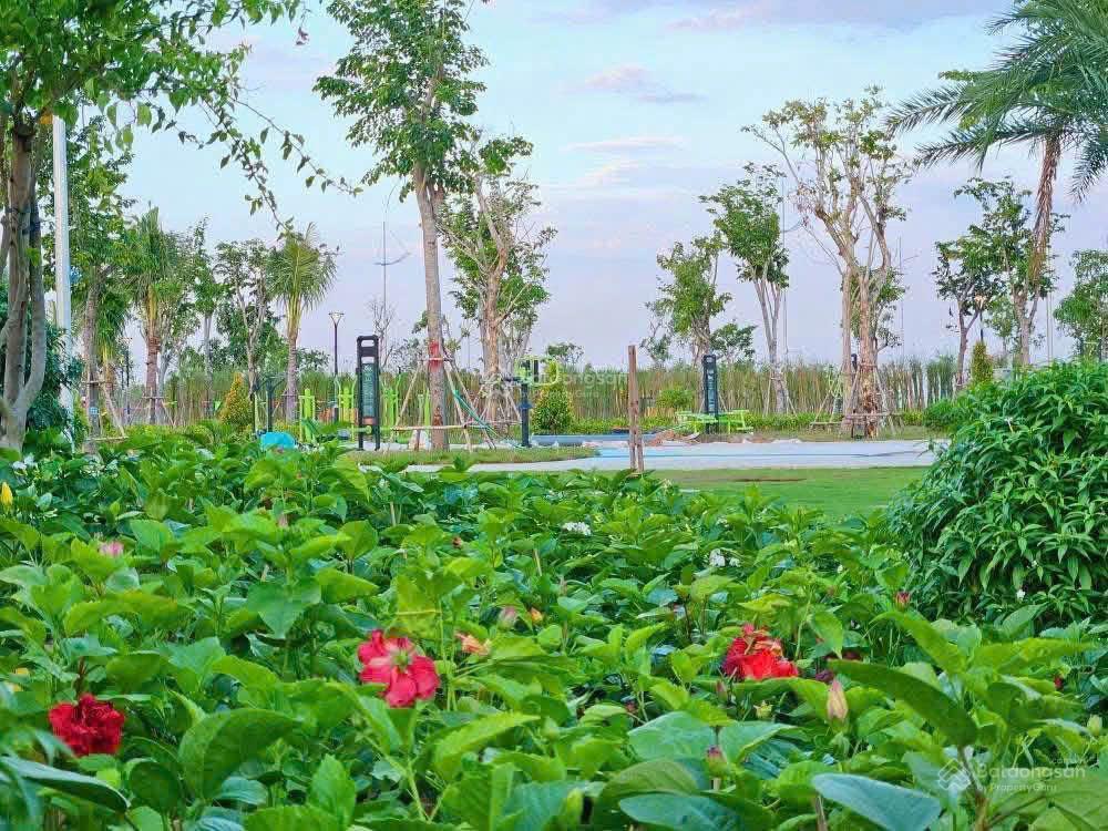 Ưu đãi tháng 8 chiết khấu lên đến 30% + 1,5% + 0,5% nhà phố vinhomes cần giờ 11 tỷ