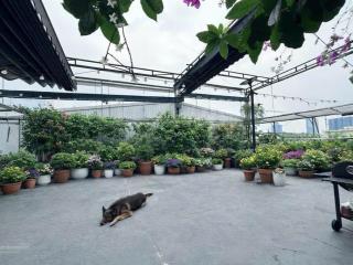 Bán căn hộ tt nguyễn chí thanh, huỳnh thúc kháng, sổ 44m2, dt 80m2, mặt phố, sân rộng, giá 5.6 tỷ