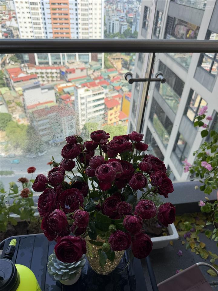 Chính chủ bán căn hộ 2pn tại the zei lê đức thọ, giá siêu tốt, nội thất đẹp view thoáng, sẵn sổ