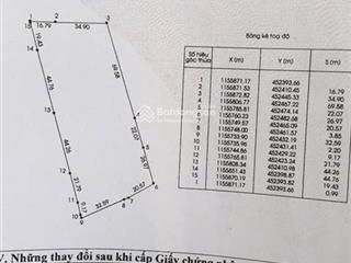 Bán 7.000m2 đất mặt tiền đường ven biển xã phước hải, tp. hcm