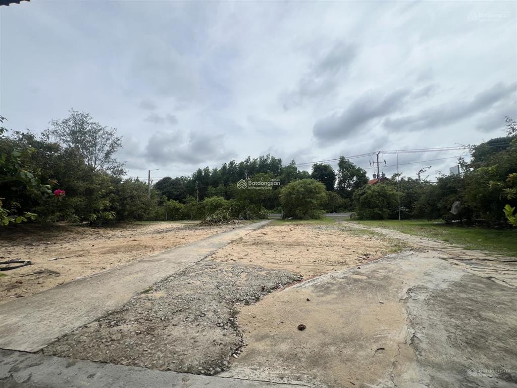 Bán 7.000m2 đất mặt tiền đường ven biển xã phước hải, tp. hcm