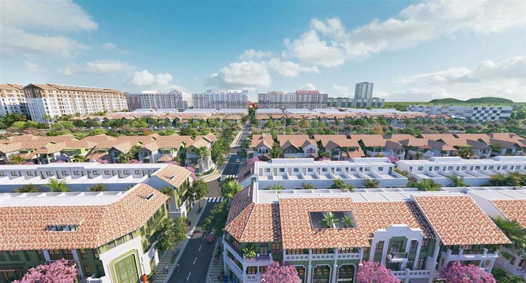 Liền kề góc 516,5m2 thiết kế 6 tầng view trường học, công viên, 8 tòa chung cư, kinh doanh cực tốt