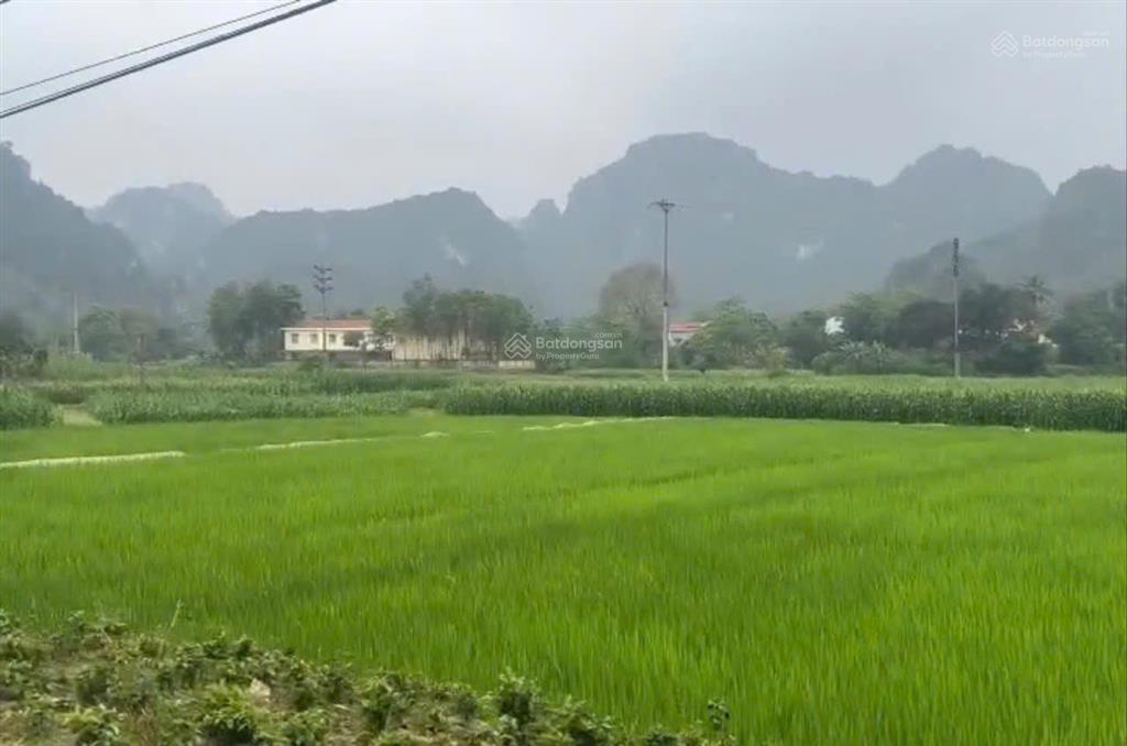 Bán lô đất 880m2 bám mặt đường to tại cao dương, lương sơn hb chỉ 3.4 tỷ