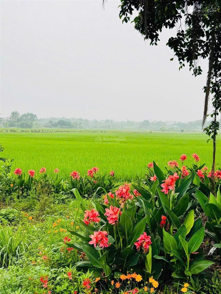 Bán lô đất 880m2 bám mặt đường to tại cao dương, lương sơn hb chỉ 3.4 tỷ