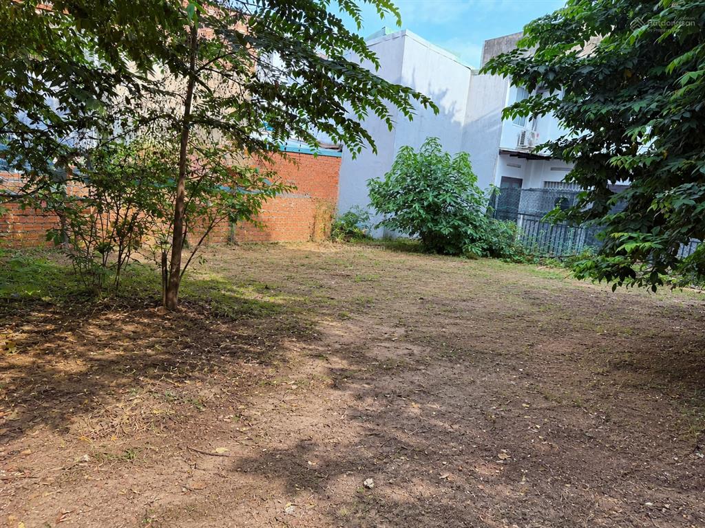 Bán gấp  gò vấp  huỳnh khương an  267.5m2  20 tỷ  xây chdv