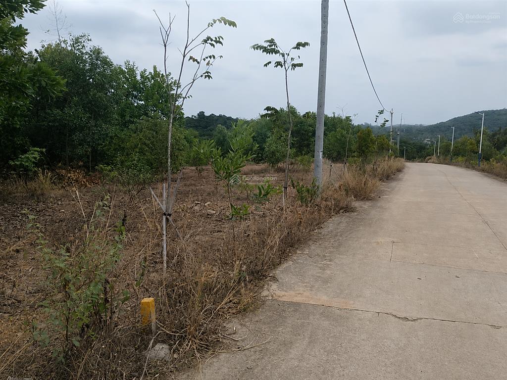 Bán gấp  định quán, đồng nai  12 miếng nền đất ở  1.666,7m2  13,5 tỷ