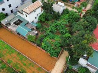 Chính chủ cần bán gấp 183m2 trục chính thôn 3 phú cát, cách dh09 100m