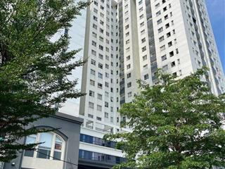 Cần cho thuê gấp căn hộ chung cư dream home palace phường 7, quận 8