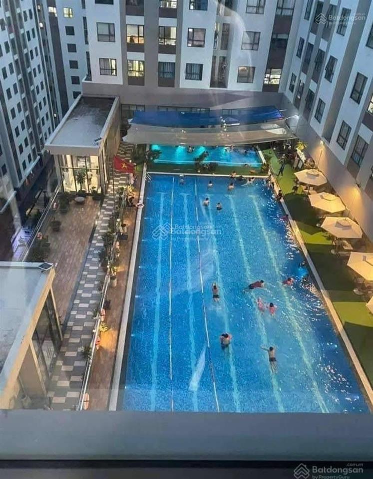 Cần bán gấp căn hộ chung cư green river, phường 6 quận 8