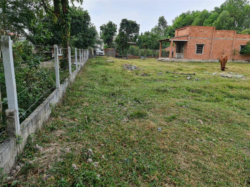 850 nghìn/m2! bán nhà và đất diện tích 4696m2 (có 714m2 đất ở 01 căn nhà 50m2), mặt tiền đường nhựa